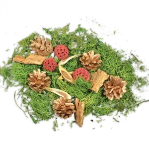 Riffelmacher et Weinberger Pot Pourri Melange Pomme De Pin, Mousse, Foret, 80 G